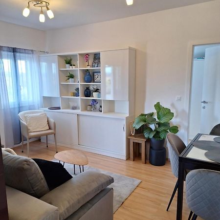 Apartment Dorina Buje Eksteriør bilde