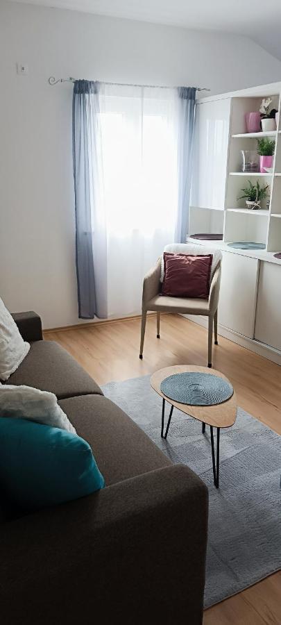 Apartment Dorina Buje Eksteriør bilde