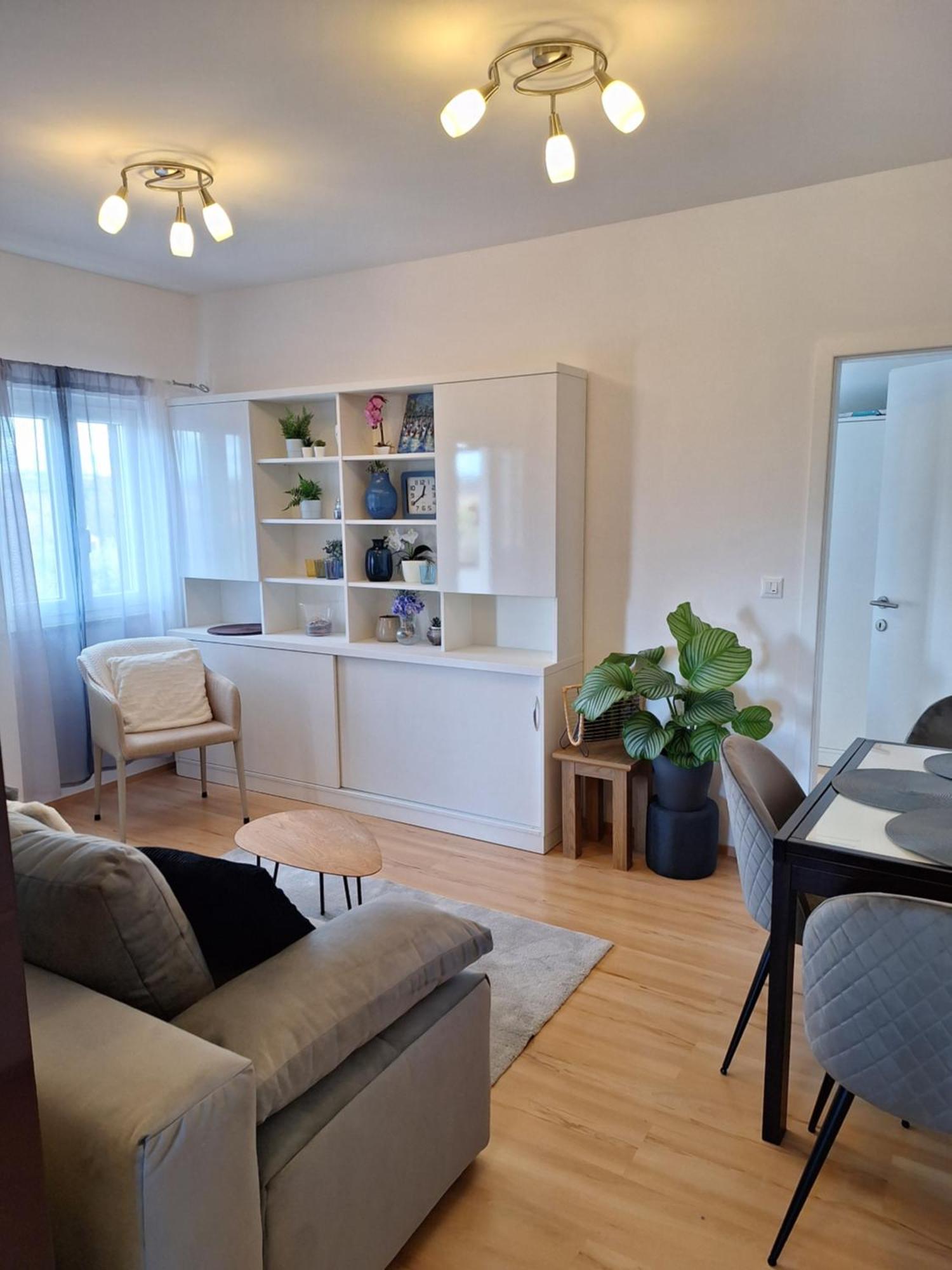 Apartment Dorina Buje Eksteriør bilde