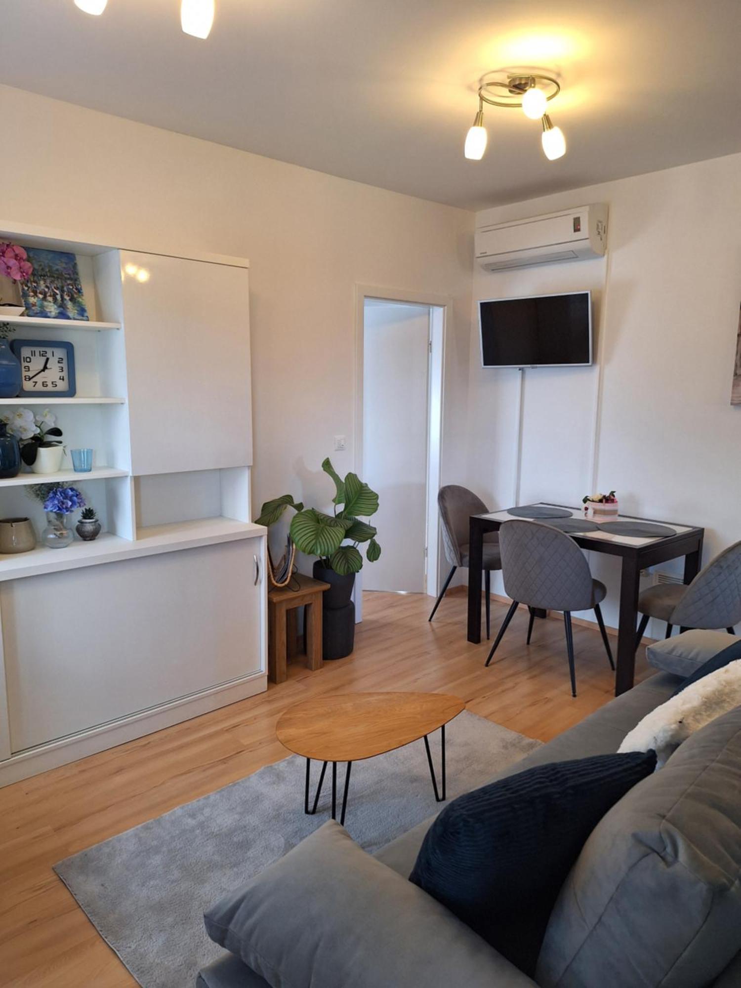 Apartment Dorina Buje Eksteriør bilde