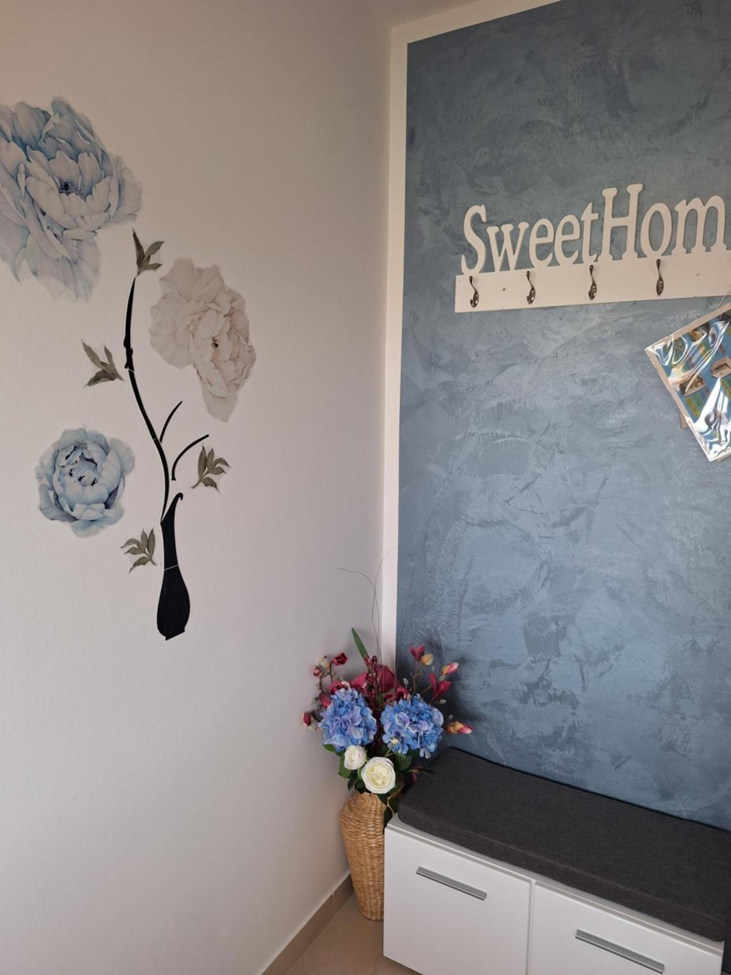 Apartment Dorina Buje Eksteriør bilde