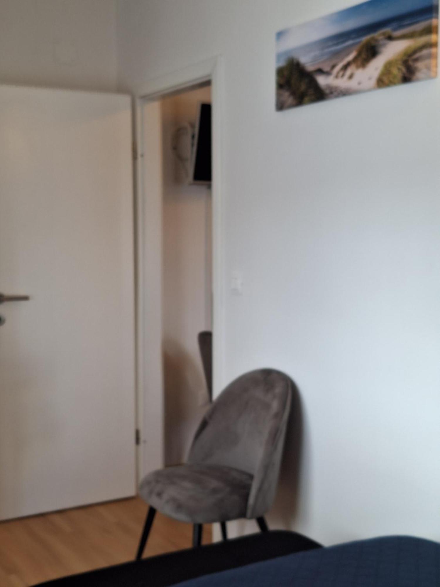 Apartment Dorina Buje Eksteriør bilde