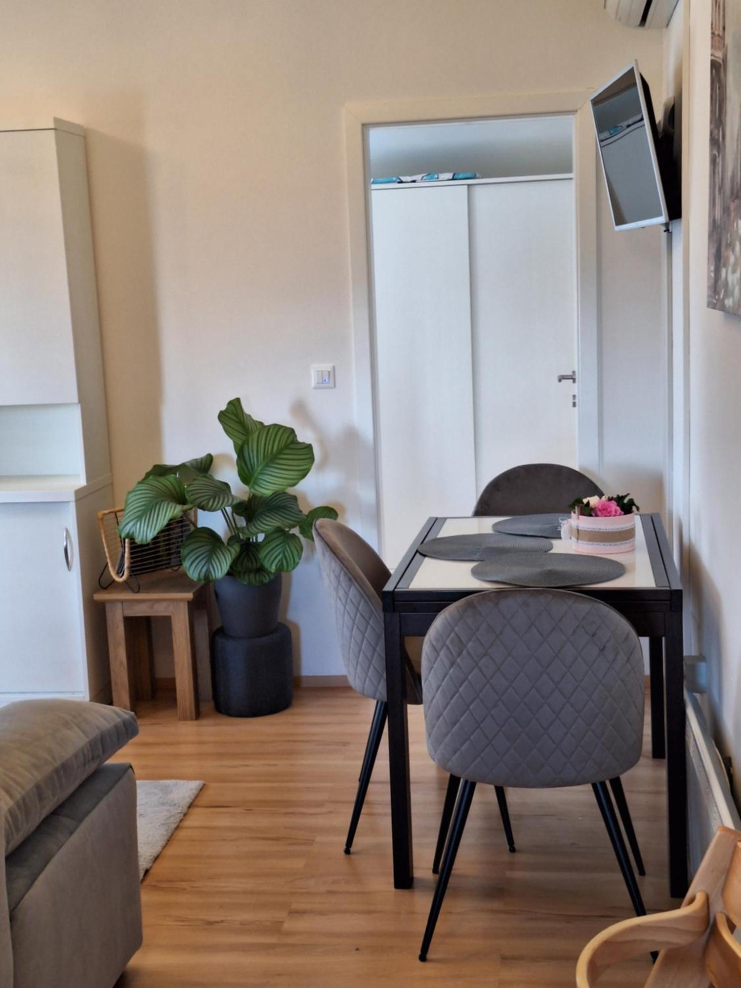 Apartment Dorina Buje Eksteriør bilde