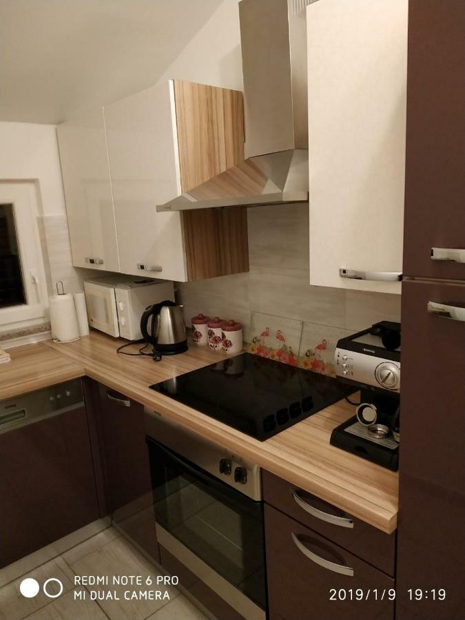 Apartment Dorina Buje Eksteriør bilde