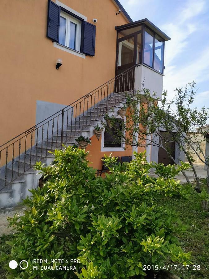 Apartment Dorina Buje Eksteriør bilde
